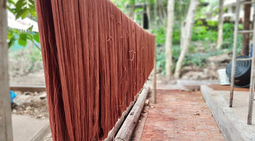 Row of cotton in burnt sienna shade hanging to dry 