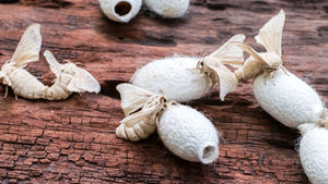 Silk's Sustainability Under Scrutiny