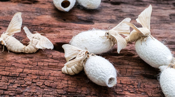 Silk's Sustainability Under Scrutiny
