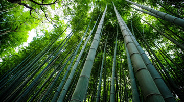 Top Eco-Fabrics That Are Good For You And Your Skin